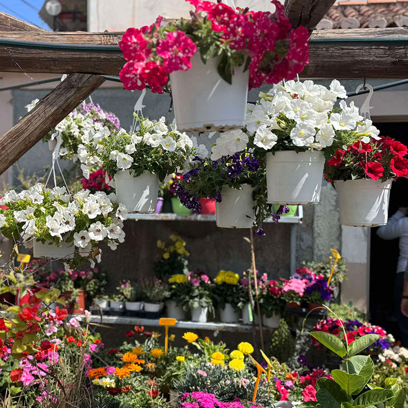 Kontogiannis Flower Shop Poros