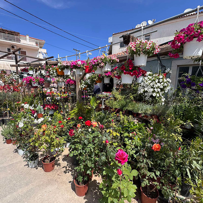 Kontogiannis Flower Shop Poros