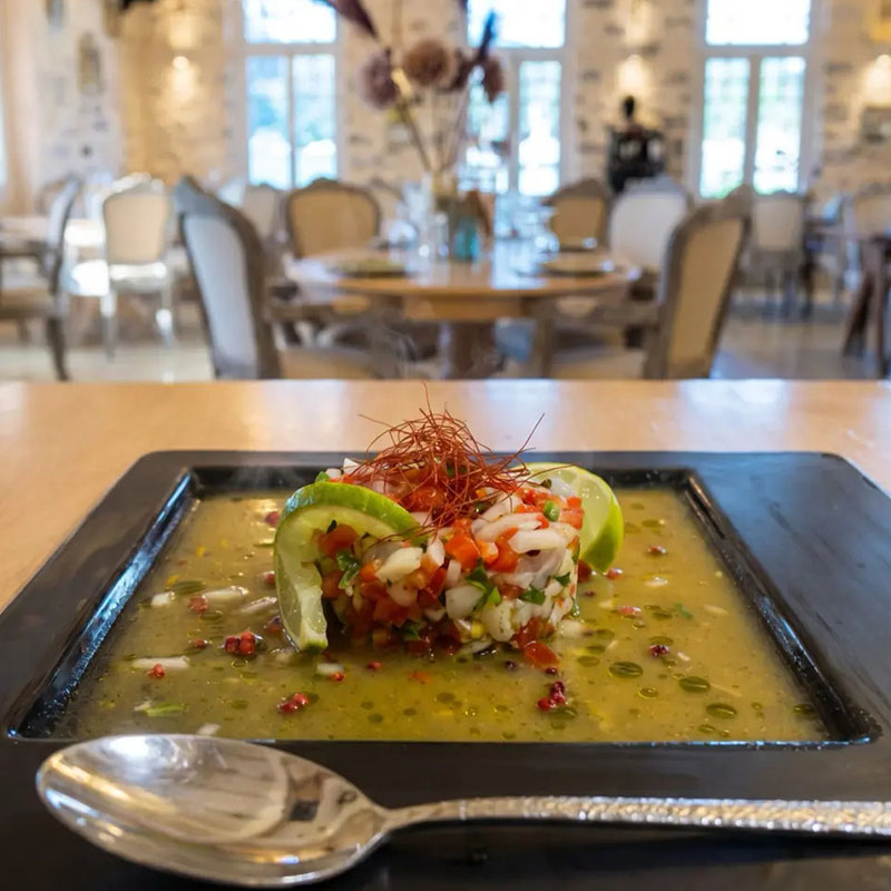 Medusa Restaurant