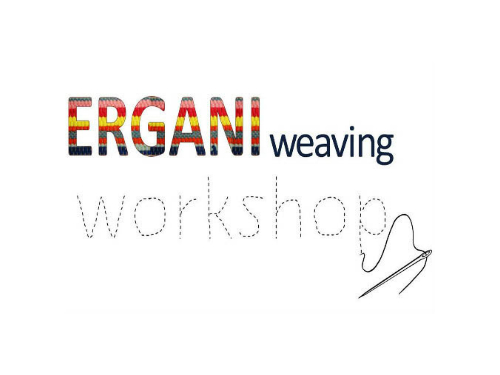 ERGANI Workshop